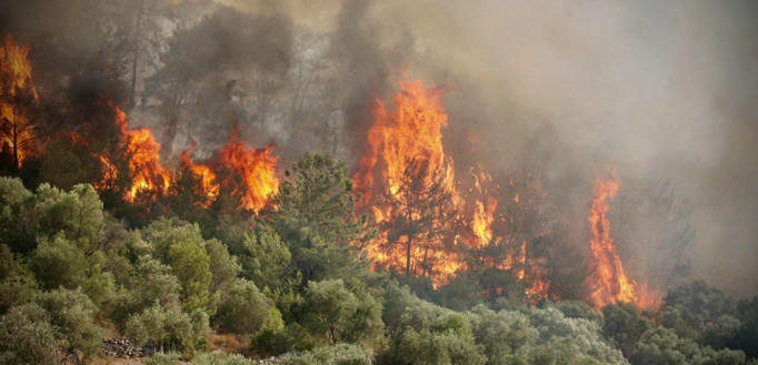 Taizhou Jun'an Fire Technology Co, Ltd.